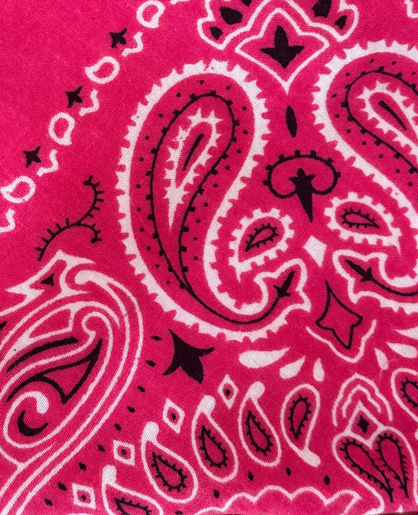 Le Bandana Pouch in Guava