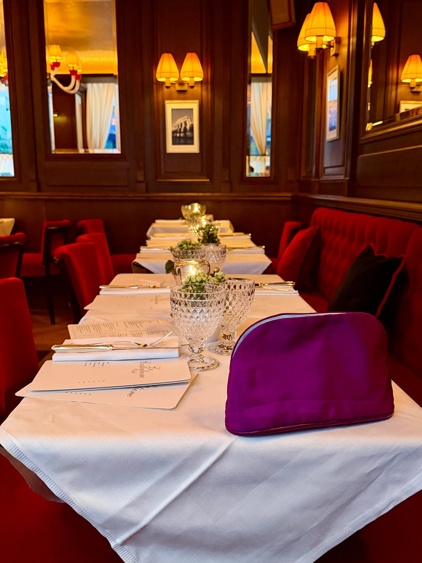Le Taffeta Pouch in Aubergine