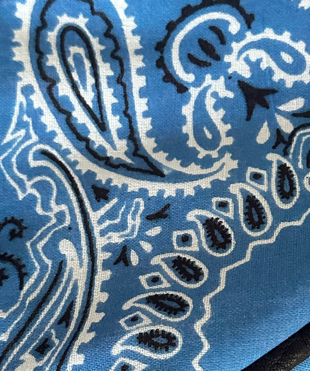 Le Bandana Pouch in Blueberry
